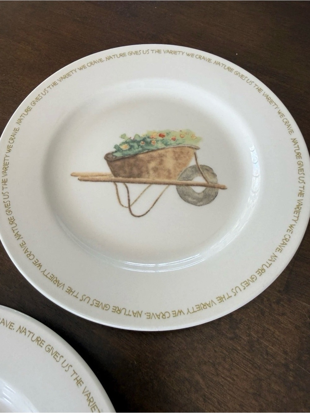 Thomson Pottery My Garden Salad Plates Set of 3 Wheelbarrow Tulips Watering Can - Picture 4 of 7